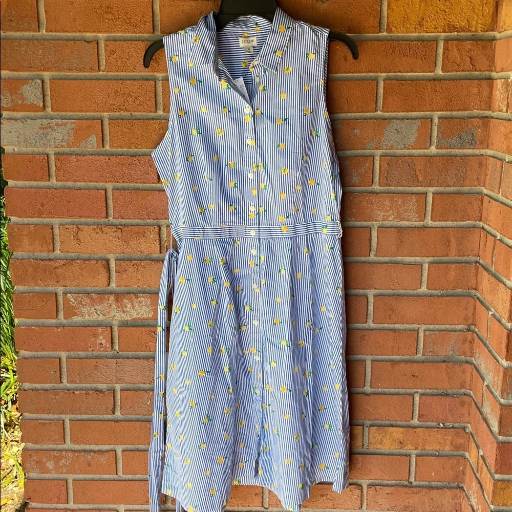 NEW JCREW factory sleeveless cotton lemon dress - Picture 2 of 6